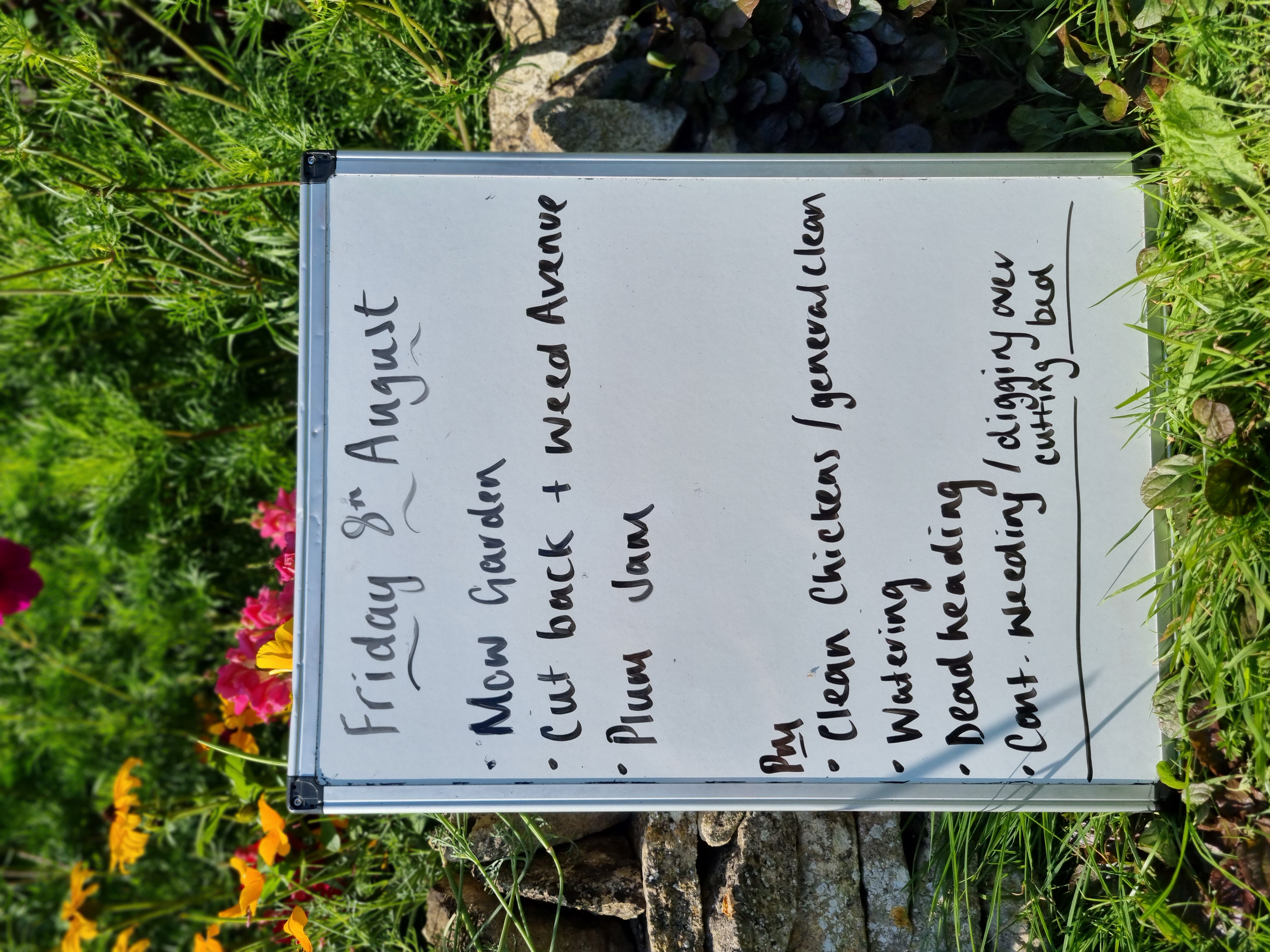 20250808 Jobs Board