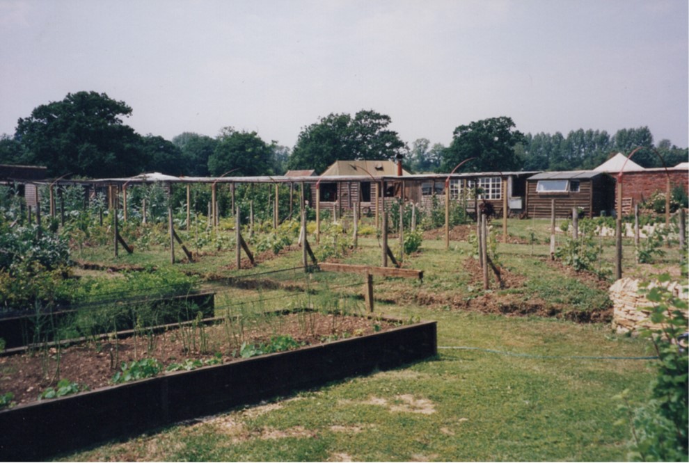 Raised Beds And Potager