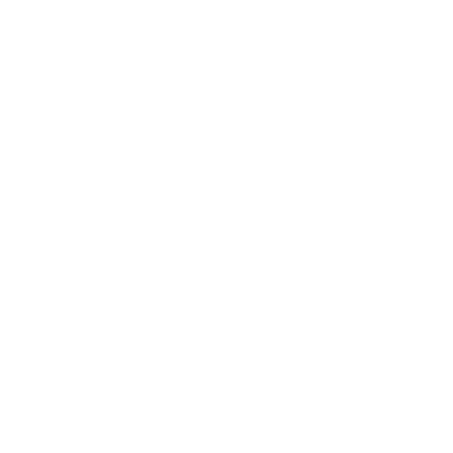 Flower 13